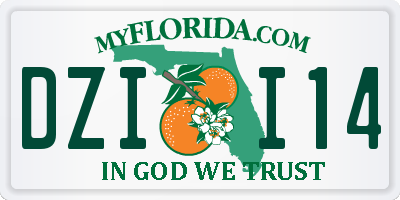 FL license plate DZII14