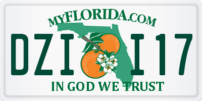 FL license plate DZII17
