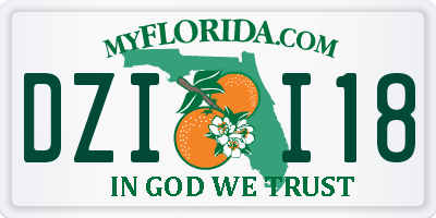 FL license plate DZII18