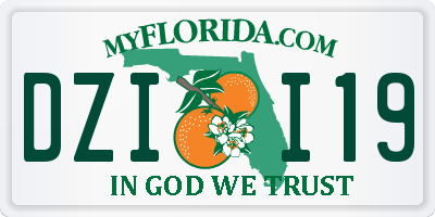FL license plate DZII19