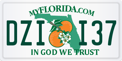 FL license plate DZII37