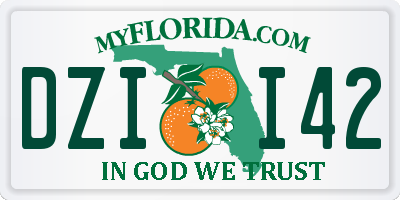 FL license plate DZII42