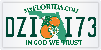 FL license plate DZII73