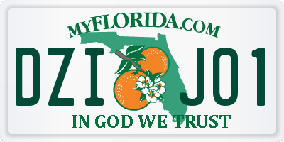 FL license plate DZIJ01