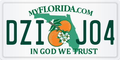 FL license plate DZIJ04