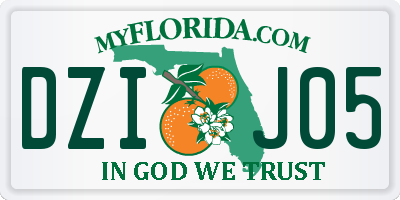 FL license plate DZIJ05