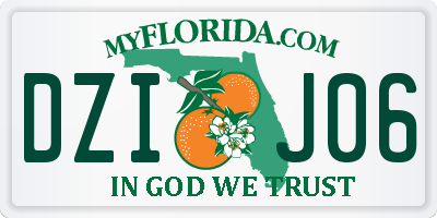 FL license plate DZIJ06