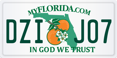 FL license plate DZIJ07