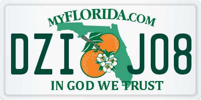 FL license plate DZIJ08