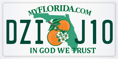 FL license plate DZIJ10
