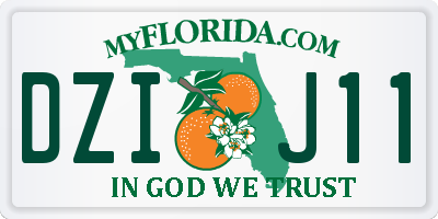FL license plate DZIJ11