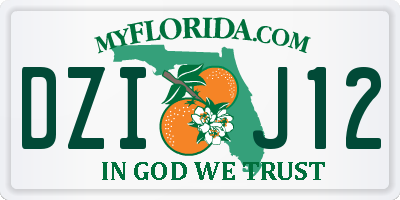FL license plate DZIJ12