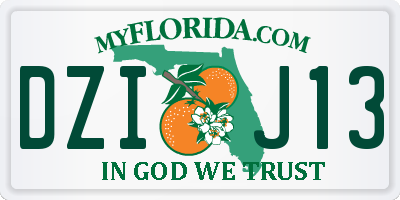 FL license plate DZIJ13