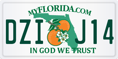 FL license plate DZIJ14