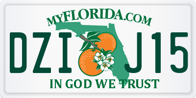 FL license plate DZIJ15