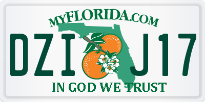 FL license plate DZIJ17