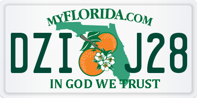 FL license plate DZIJ28