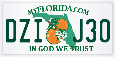 FL license plate DZIJ30