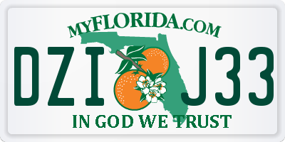 FL license plate DZIJ33
