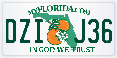 FL license plate DZIJ36