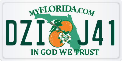 FL license plate DZIJ41