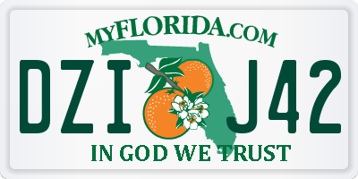 FL license plate DZIJ42