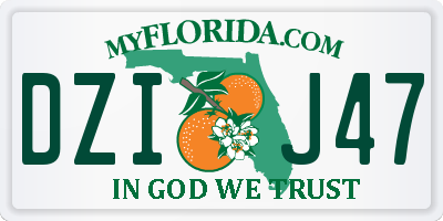 FL license plate DZIJ47