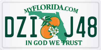 FL license plate DZIJ48