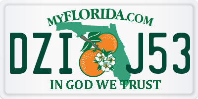 FL license plate DZIJ53