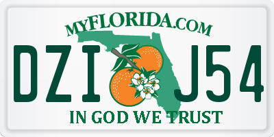 FL license plate DZIJ54