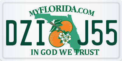 FL license plate DZIJ55