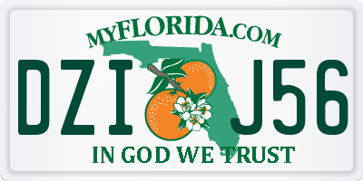 FL license plate DZIJ56