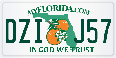 FL license plate DZIJ57