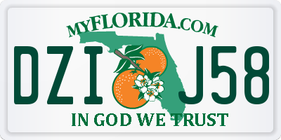 FL license plate DZIJ58