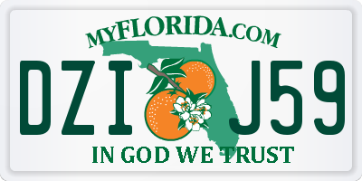 FL license plate DZIJ59