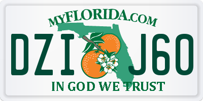 FL license plate DZIJ60