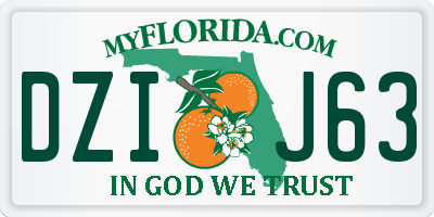 FL license plate DZIJ63