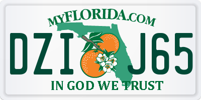 FL license plate DZIJ65