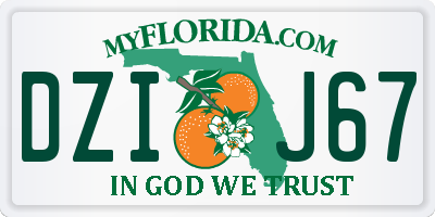 FL license plate DZIJ67