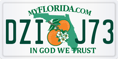 FL license plate DZIJ73