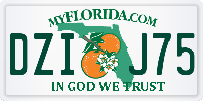 FL license plate DZIJ75