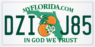 FL license plate DZIJ85