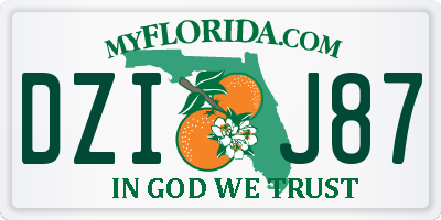 FL license plate DZIJ87