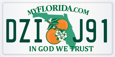 FL license plate DZIJ91