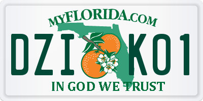 FL license plate DZIK01