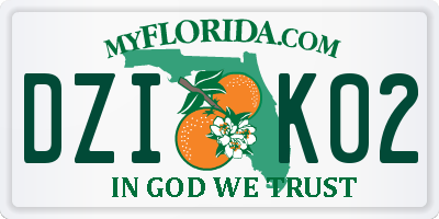 FL license plate DZIK02