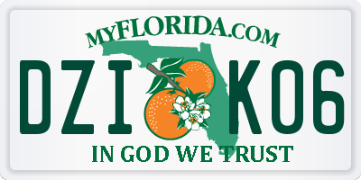 FL license plate DZIK06