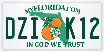 FL license plate DZIK12