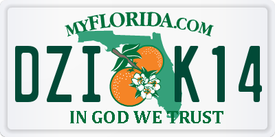 FL license plate DZIK14