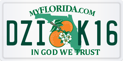 FL license plate DZIK16